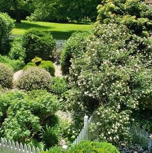 Meet your Posher, Deidre